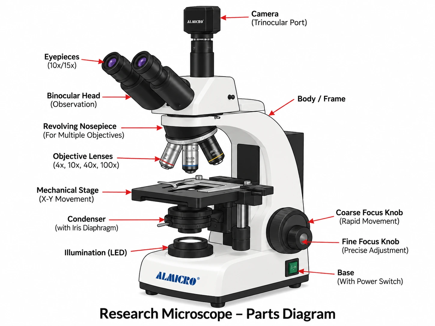Research Microscope Diagram