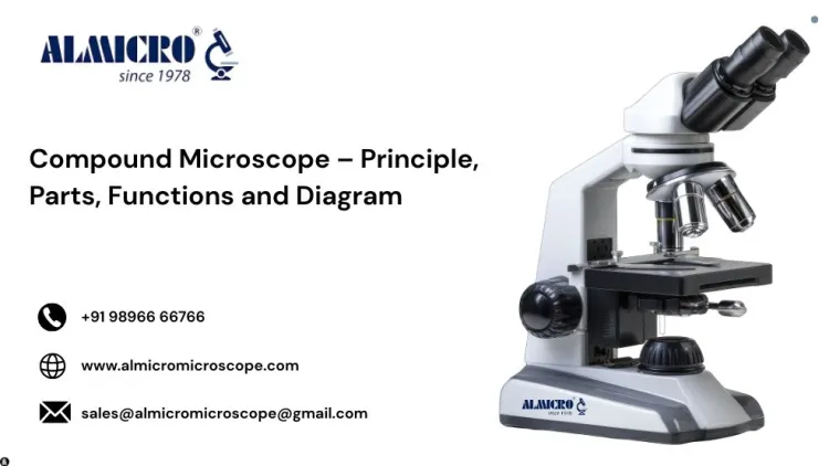 Compound Microscope: Working, Parts and Uses