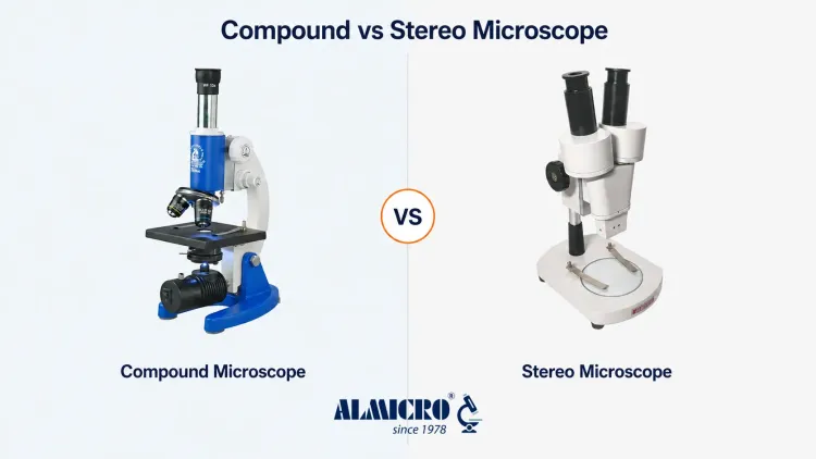 Advanced laboratory microscope for scientific research and precision analysis in modern laboratories.