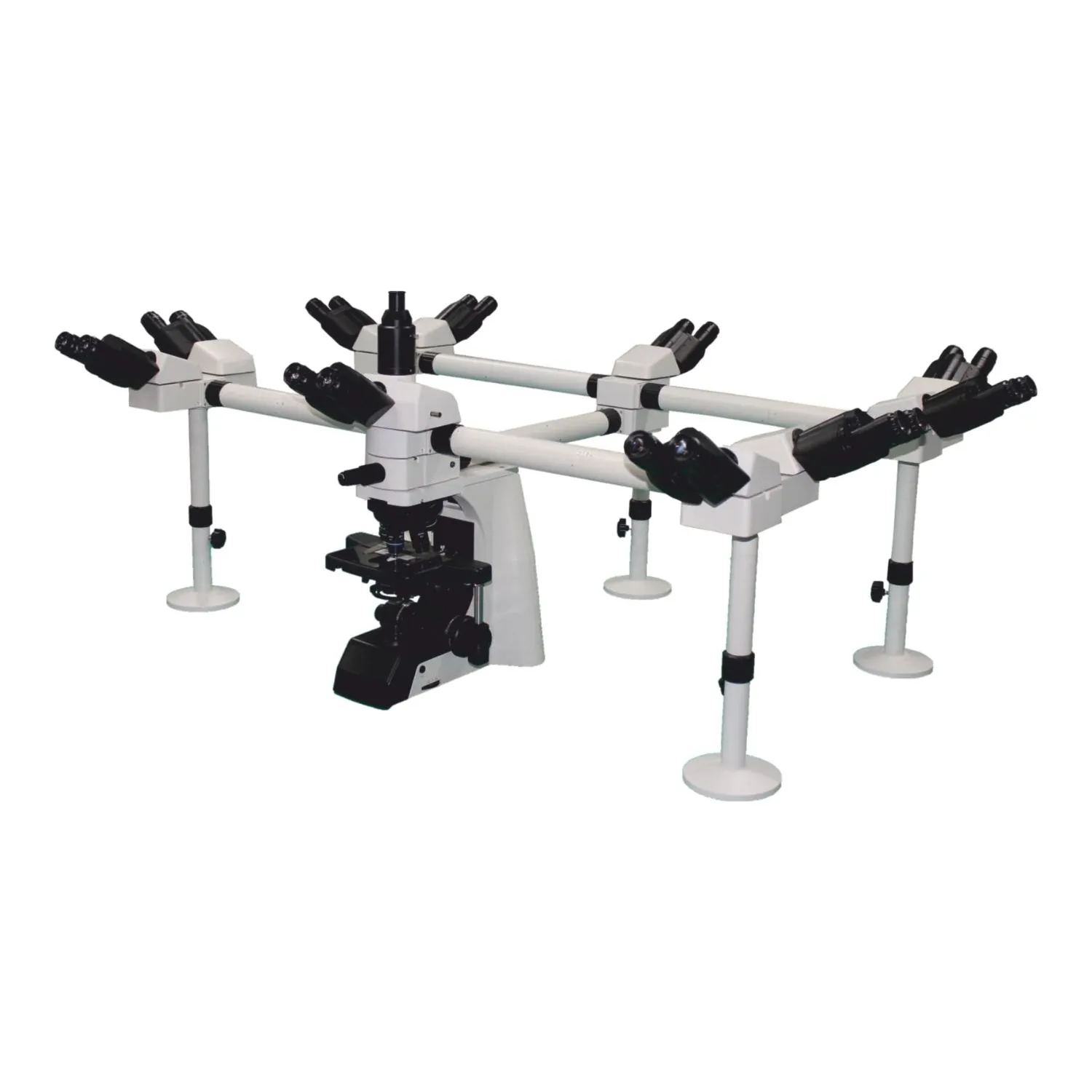 Deca Head Microscope