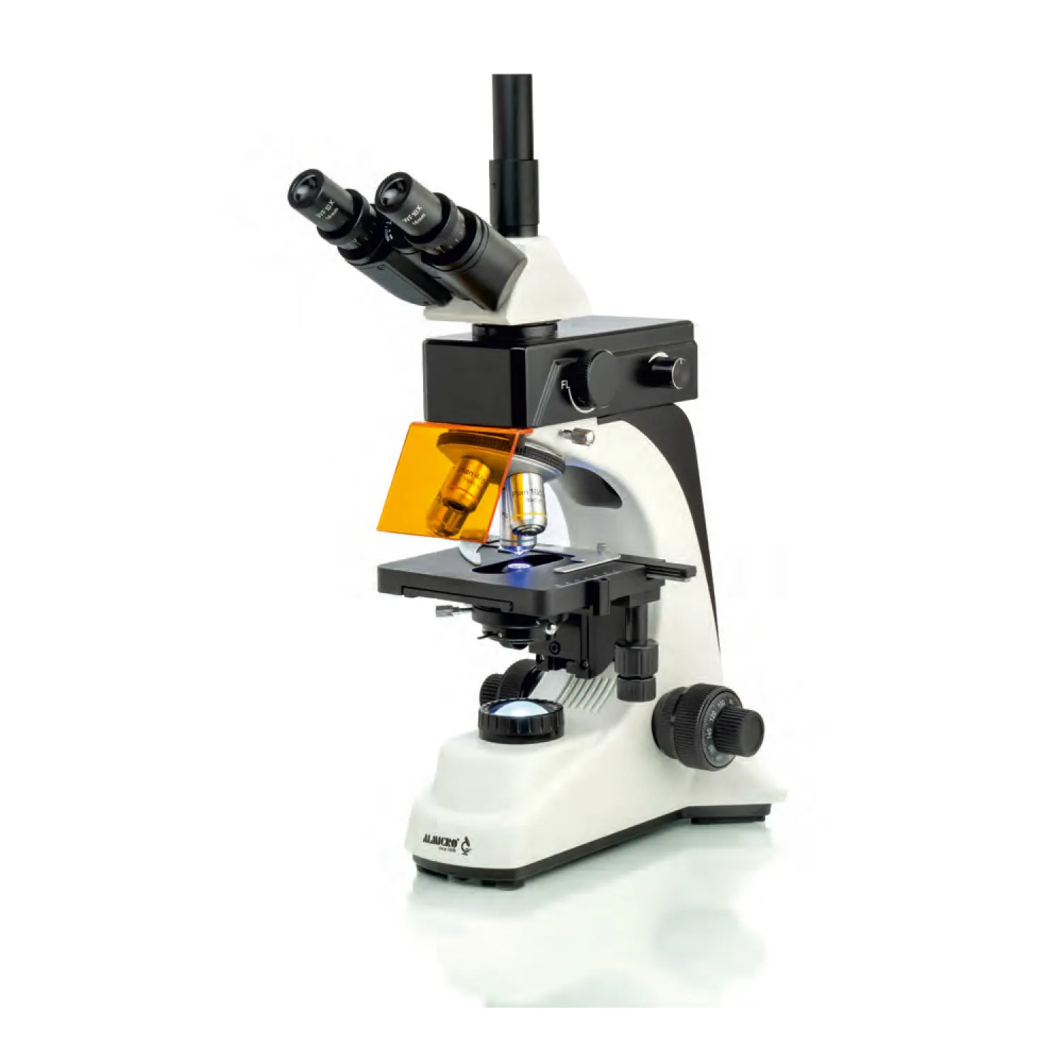 Fluorescent Microscope AFM-50